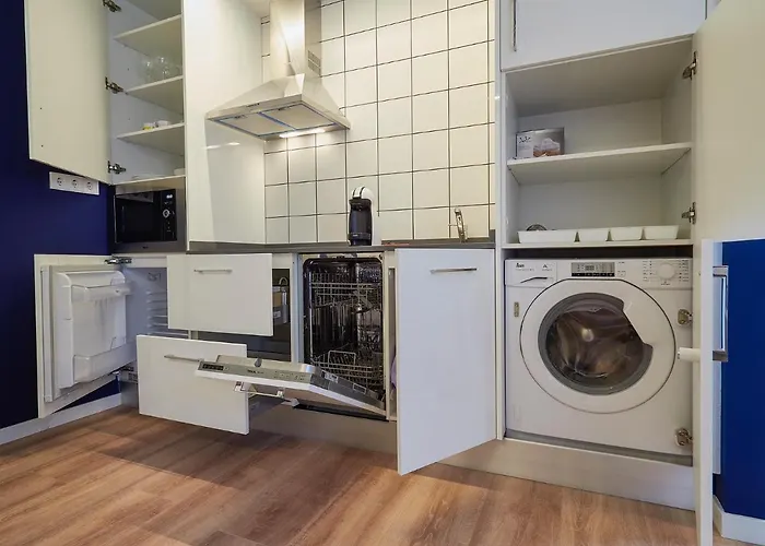 Apartantiguo Altamirano 13 奥维耶多